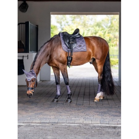 Protectors Equestrian Stockholm Mesh Dark Violet | Proteccions per a