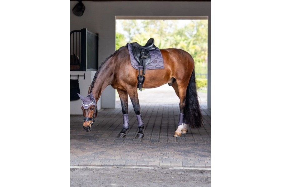 Orelleres Equestrian Stockholm Dark Violet | Cabeçades o morralles per a