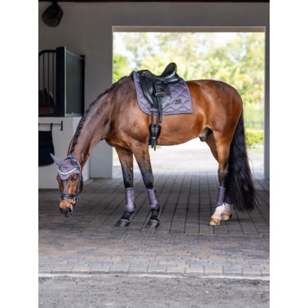 Orelleres Equestrian Stockholm Dark Violet | Cabeçades o morralles per a