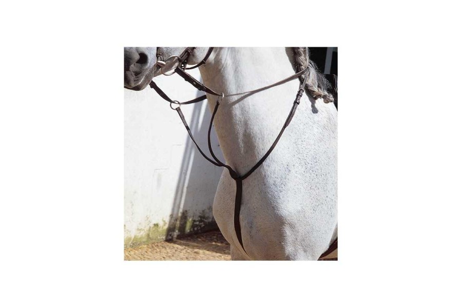 Tisoretes Marjoman Marró | Complements selles de muntar per a cavalls