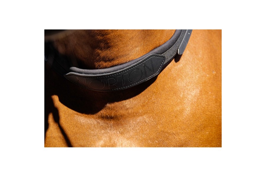 Collar Cavall Muntar Ajustable Norton Negre | Més disciplines per a cavalls