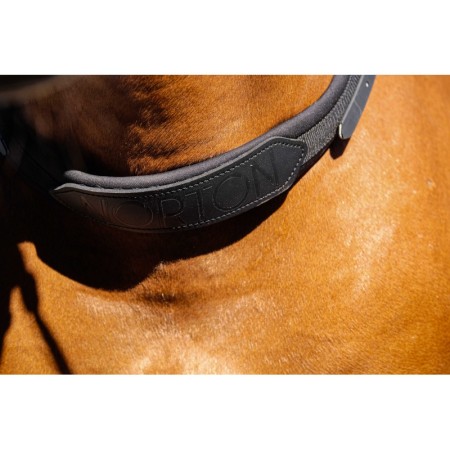 Collar Cavall Muntar Ajustable Norton Negre | Més disciplines per a cavalls
