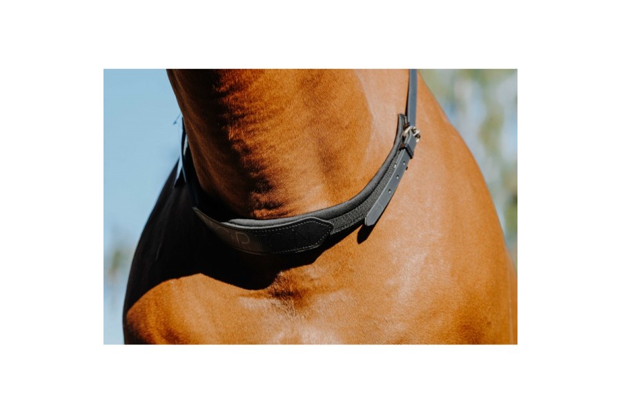 Collar Cavall Muntar Ajustable Norton Negre | Més disciplines per a cavalls