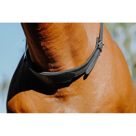 Collar Caballo Montar Ajustable Norton Negro | Más disciplinas para