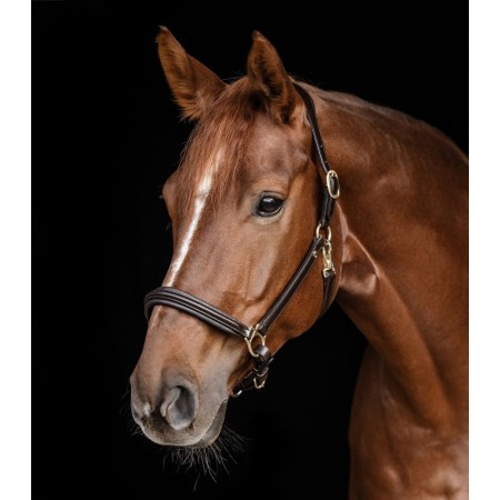 Morralla Quadra Cuir S-Line Classy Marró | Cabeçades o morralles per a 2