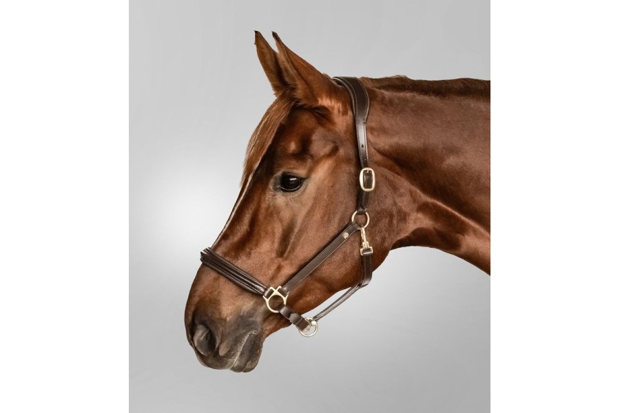 Cabezada Cuadra Cuero S-Line Classy Marrón | Cabezadas para caballos