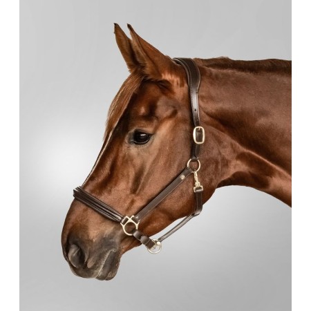 Cabezada Cuadra Cuero S-Line Classy Marrón | Cabezadas para caballos