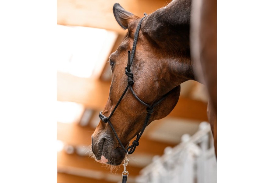 Cabezada Cuadra Cuerda Con Anilla Móvil Negra | Cabezadas para caballos