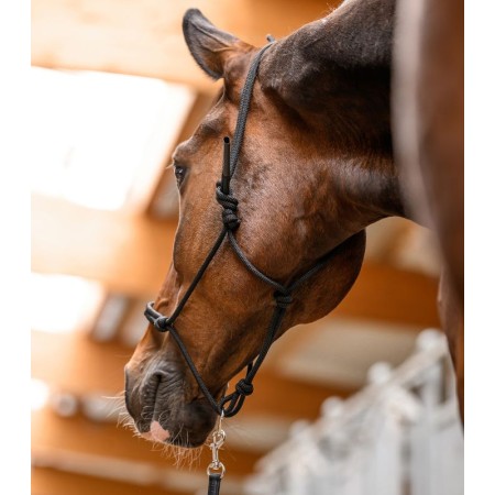 Cabezada Cuadra Cuerda Con Anilla Móvil Negra | Cabezadas para caballos