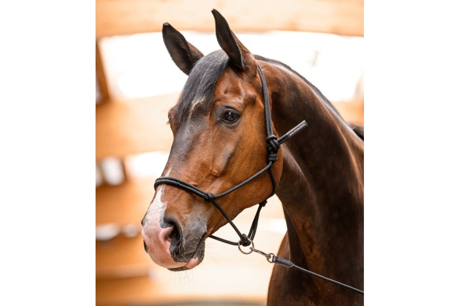 Cabezada Cuadra Cuerda Con Anilla Móvil Negra | Cabezadas para caballos