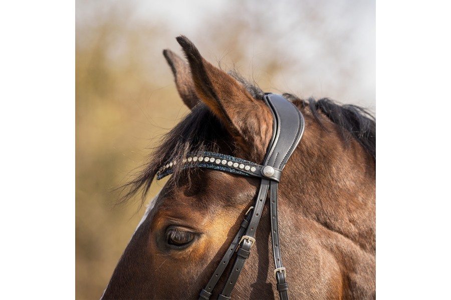 Frontalera Anglesa QHP Skye Negra/Blau Marí | Cabeçades o morralles per a