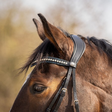Frontalera Inglesa QHP Skye Negra/Azul Marino | Cabezadas para caballos