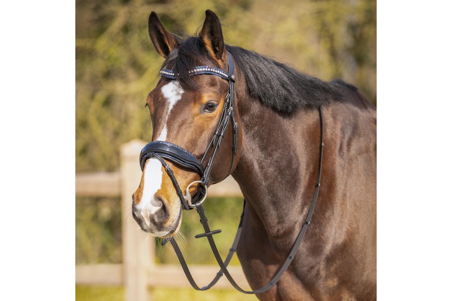 Frontalera Inglesa QHP Skye Negra/Azul Marino | Cabezadas para caballos