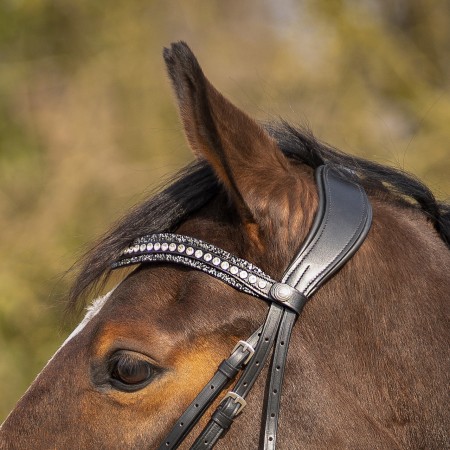 Frontalera Inglesa QHP Skye Negra/Plata | Cabezadas para caballos