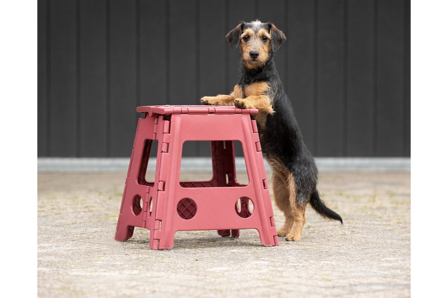 Escalera Taburete Plegable QHP Burdeos 39Cm | Instal·lacions per a cavalls