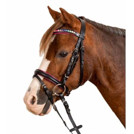 Brida Montar Inglesa Star Pinky Negra | Cabezadas para caballos