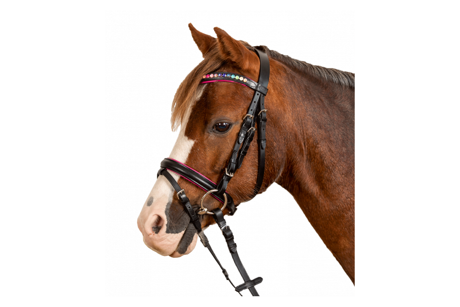 Brida Montar Inglesa Star Pinky Negra | Cabezadas para caballos