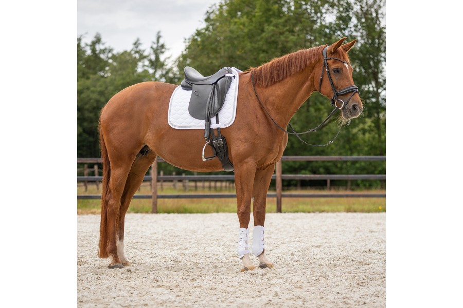 Protectores QHP Champion Blanco | Protecciones para caballos