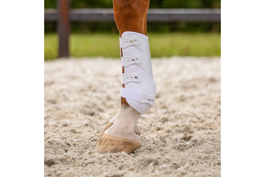 Protectores QHP Champion Blanco | Protecciones para caballos