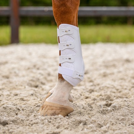 Protectores QHP Champion Blanco | Protecciones para caballos