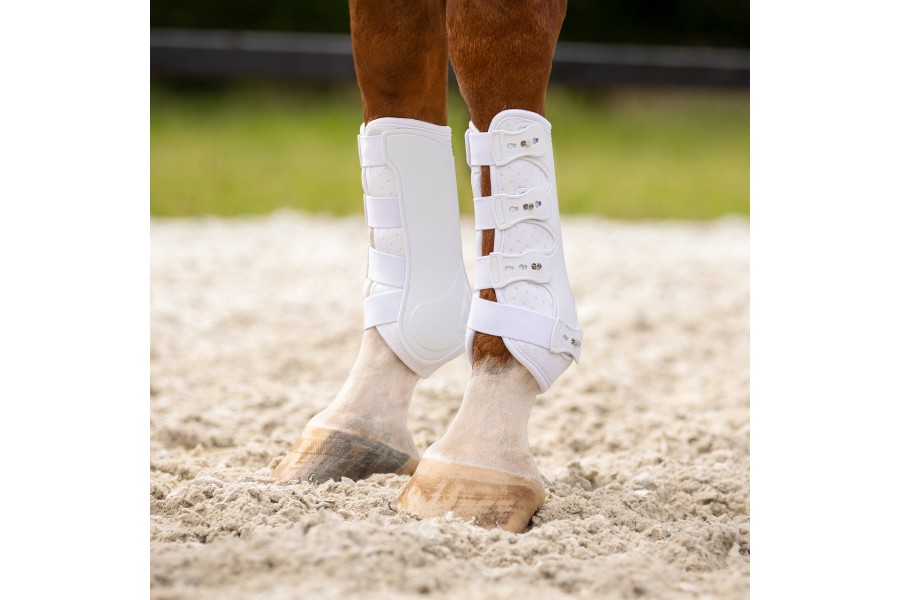 Protectors QHP Champion Blanc | Proteccions per a cavalls