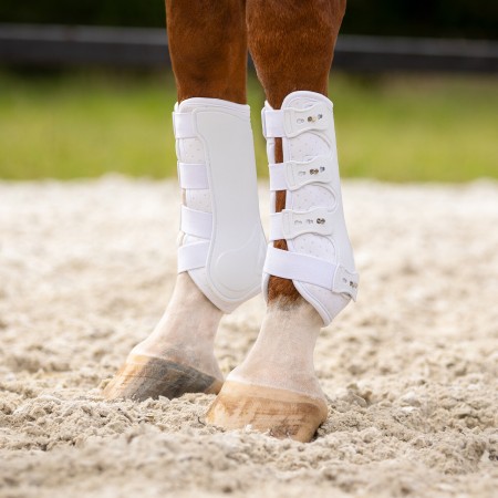 Protectors QHP Champion Blanc | Proteccions per a cavalls