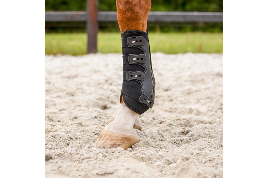 Protectors QHP Champion Negre | Proteccions per a cavalls