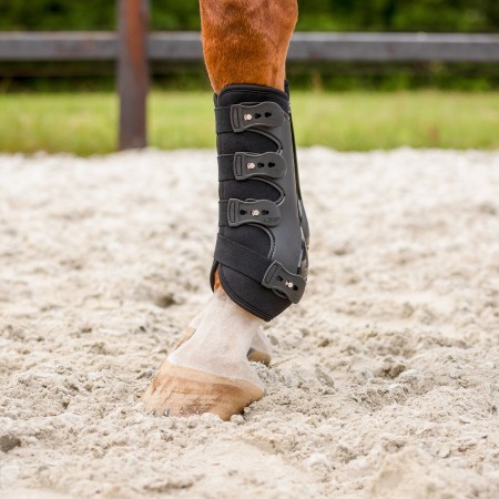 Protectors QHP Champion Negre | Proteccions per a cavalls