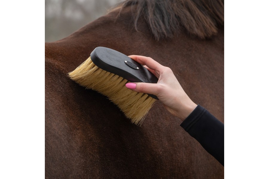 Cepillos Grooming Royal Caballo QHP Negro | Salud e higiene para caballos