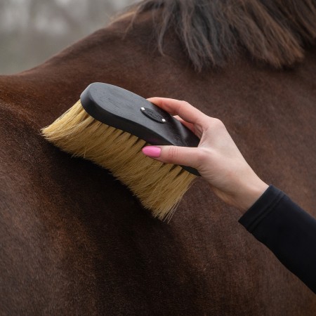 Cepillos Grooming Royal Caballo QHP Negro | Salud e higiene para caballos