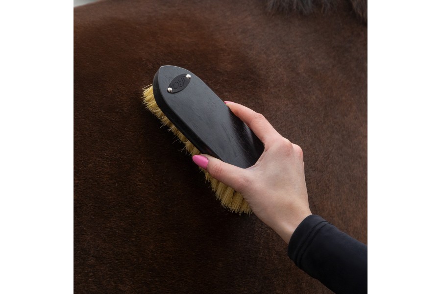 Cepillos Grooming Royal Caballo QHP Negro | Salud e higiene para caballos