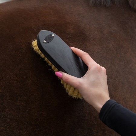 Cepillos Grooming Royal Caballo QHP Negro | Salud e higiene para caballos