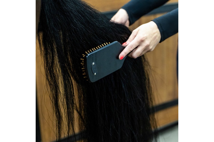 Cepillos Grooming Royal Caballo QHP Negro | Salud e higiene para caballos