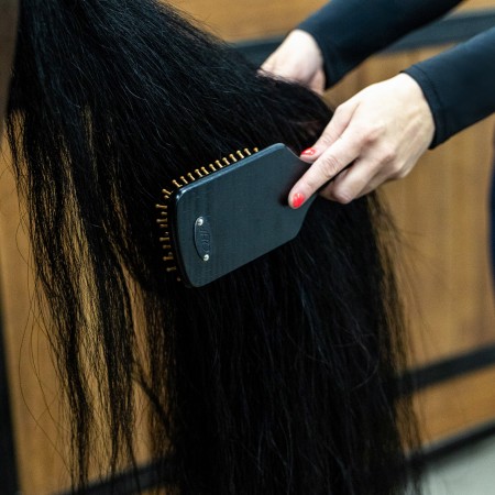 Cepillos Grooming Royal Caballo QHP Negro | Salud e higiene para caballos