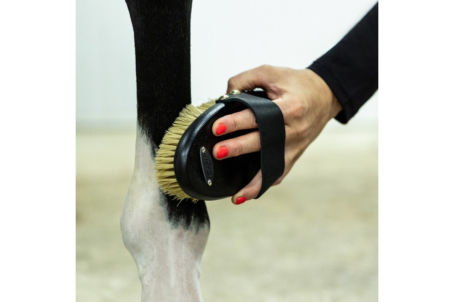 Cepillos Grooming Royal Caballo QHP Negro | Salud e higiene para caballos