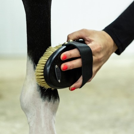 Cepillos Grooming Royal Caballo QHP Negro | Salud e higiene para caballos