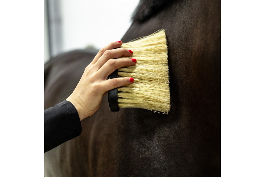 Raspalls Grooming Royal Cavall QHP Negre | Salut i higiene per a cavalls