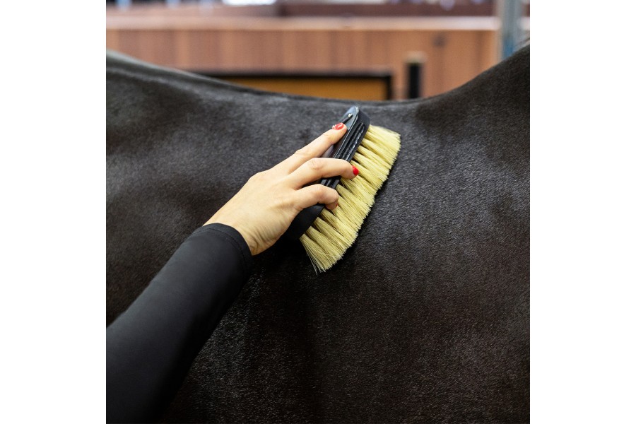 Raspalls Grooming Royal Cavall QHP Negre | Salut i higiene per a cavalls