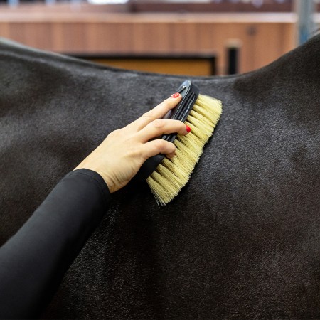 Cepillos Grooming Royal Caballo QHP Negro | Salud e higiene para caballos