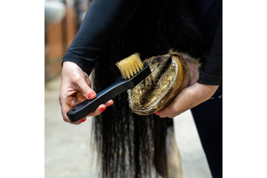 Cepillos Grooming Royal Caballo QHP Negro | Salud e higiene para caballos