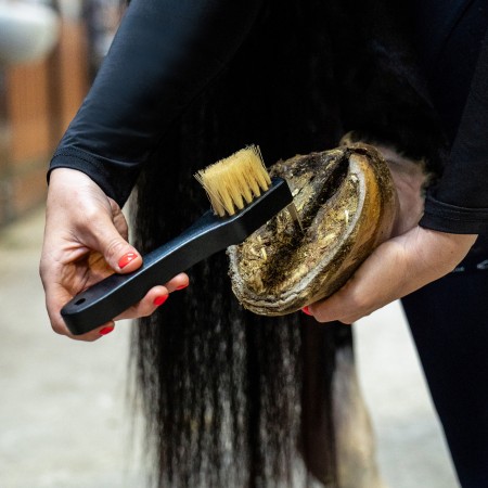 Raspalls Grooming Royal Cavall QHP Negre | Salut i higiene per a cavalls