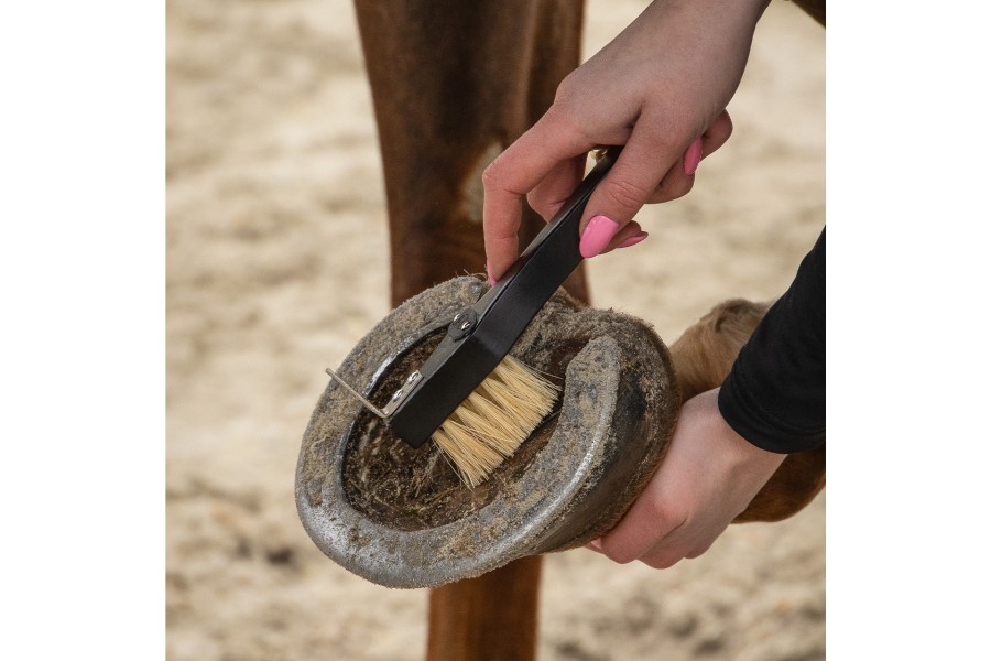 Cepillos Grooming Royal Caballo QHP Negro | Salud e higiene para caballos