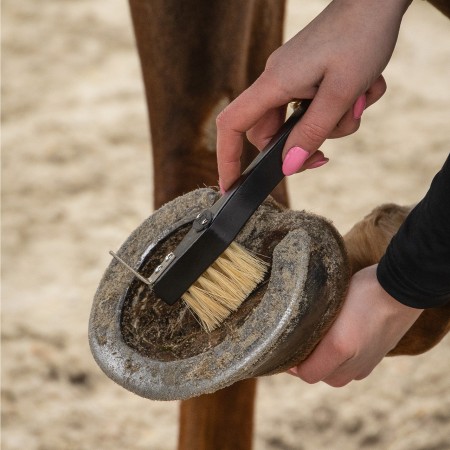 Raspalls Grooming Royal Cavall QHP Negre | Salut i higiene per a cavalls