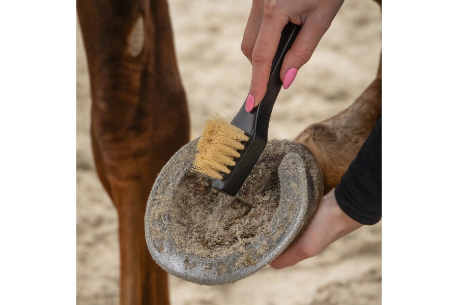 Cepillos Grooming Royal Caballo QHP Negro | Salud e higiene para caballos