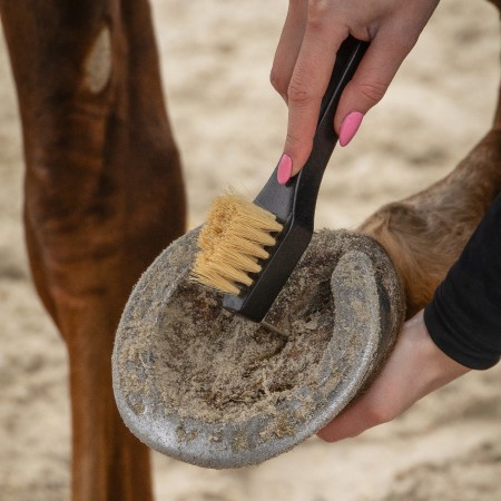 Cepillos Grooming Royal Caballo QHP Negro | Salud e higiene para caballos