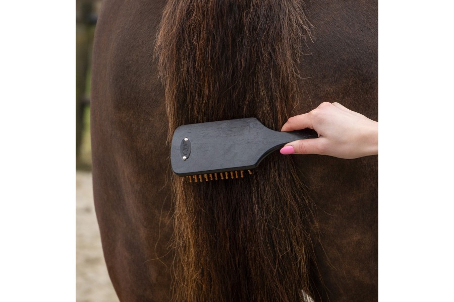 Cepillos Grooming Royal Caballo QHP Negro | Salud e higiene para caballos