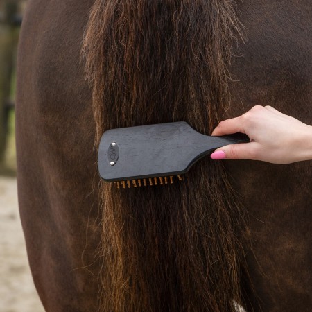 Cepillos Grooming Royal Caballo QHP Negro | Salud e higiene para caballos