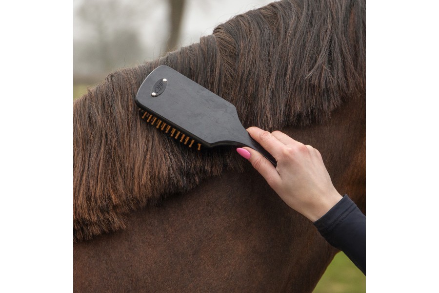 Cepillos Grooming Royal Caballo QHP Negro | Salud e higiene para caballos