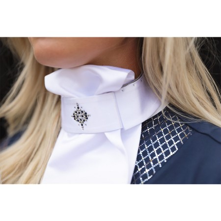 Plastrón ANKY Prospect Blanco/Plata