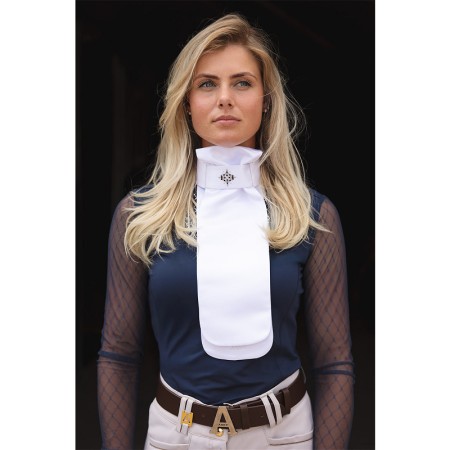 Plastrón ANKY Prospect Blanco/Plata